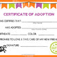 Spider Kawaii Cuddler® Adoption Certificate