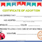 Ladybug Kawaii Cuddler® Adoption Certificate