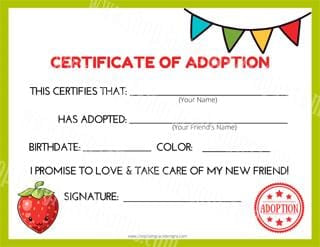 Strawberry Kawaii Cuddler® Adoption Certificate